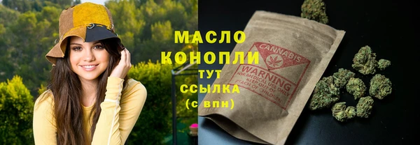 мет Алексин