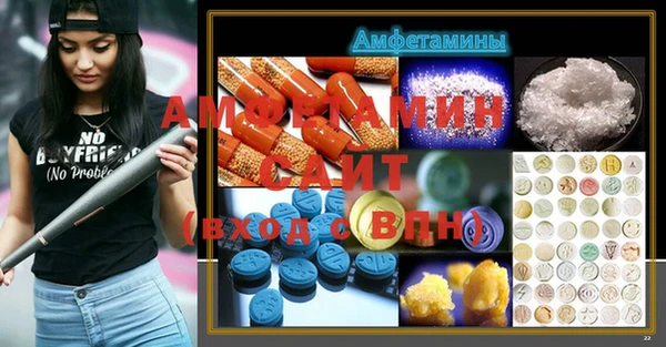 мет Алексин