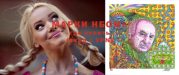 мет Алексин