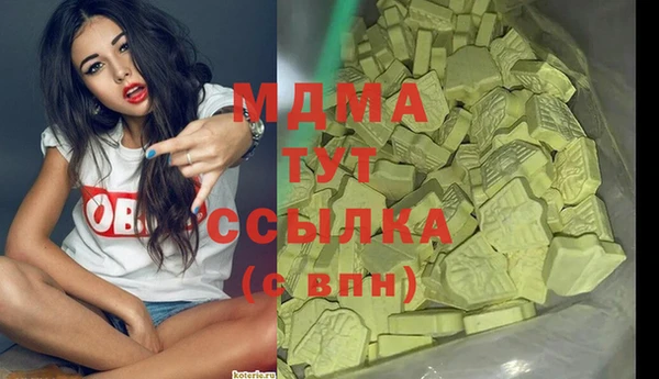 мет Алексин
