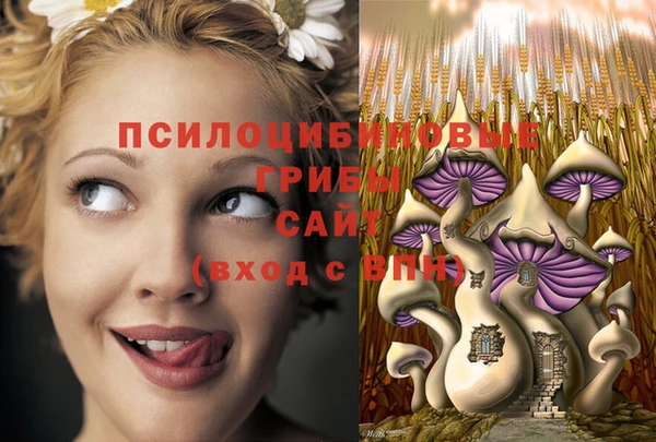 мет Алексин