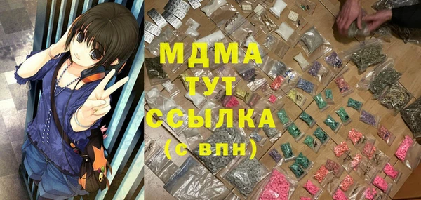 мет Алексин