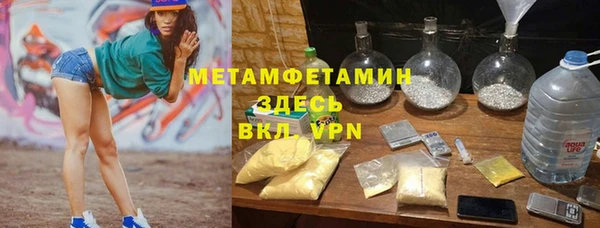 мет Алексин