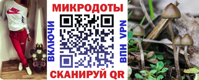 Галлюциногенные грибы мухоморы  kraken tor  Феодосия  магазин   